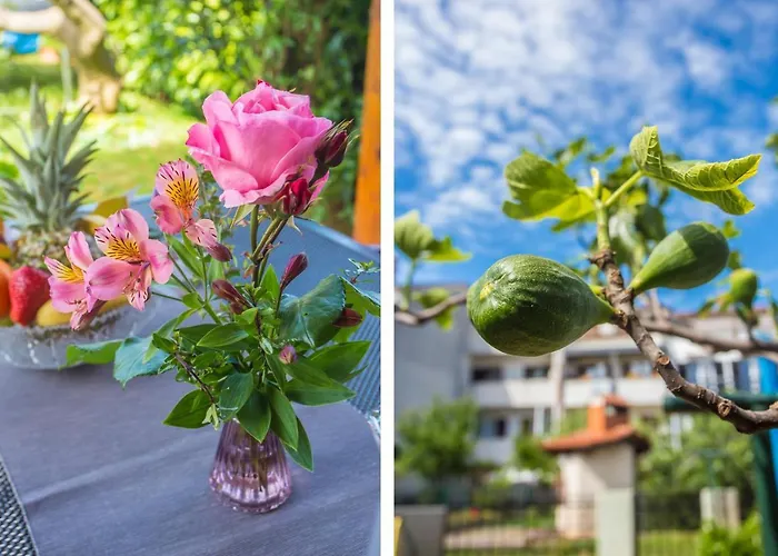 Motovunska 39a Apartman *