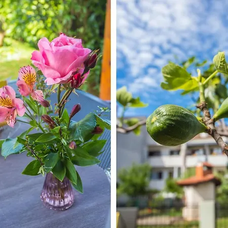 Motovunska 39a Διαμέρισμα *